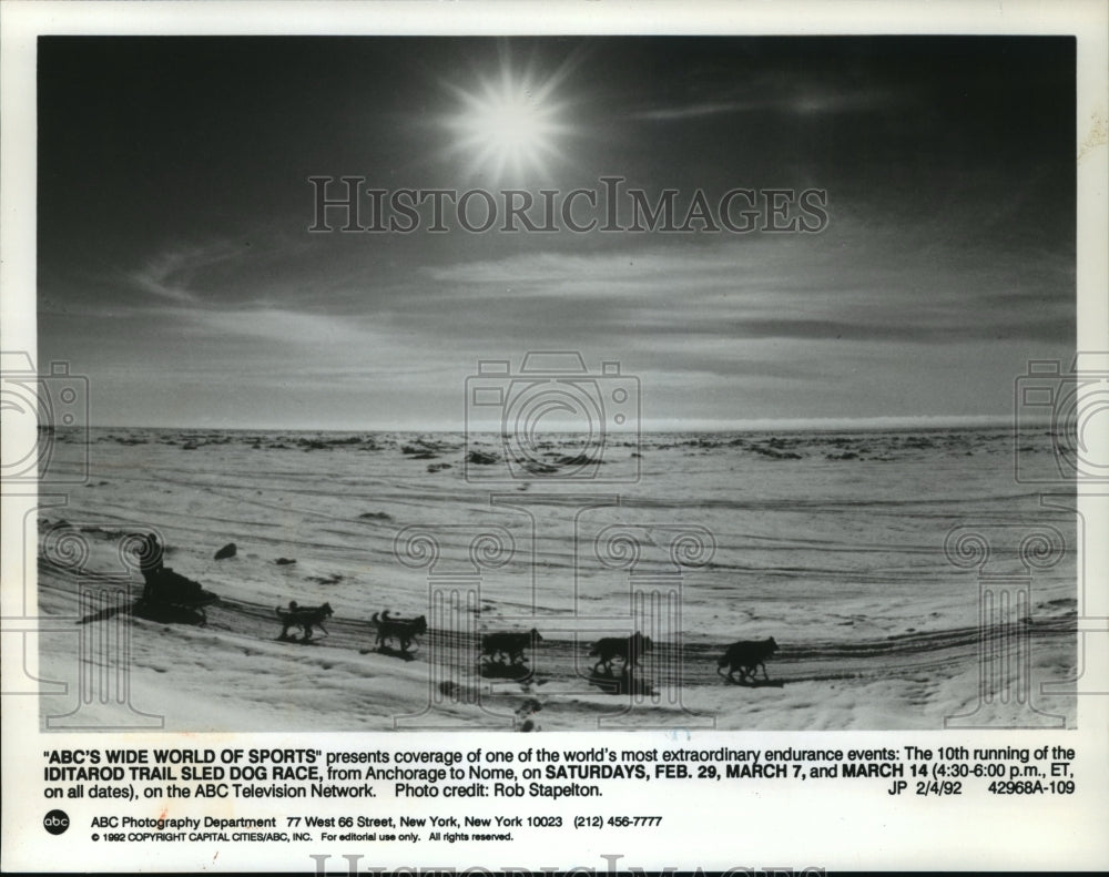 1992 Press Photo Iditarod Trail Sled Dog Race on ABC&#39;s &quot;Wide World of Sports&quot; - Historic Images