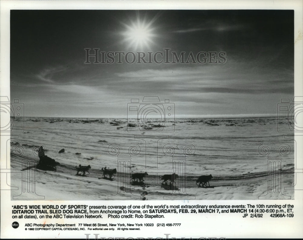 1992 Press Photo Iditarod Trail Sled Dog Race on ABC's "Wide World of Sports" - Historic Images