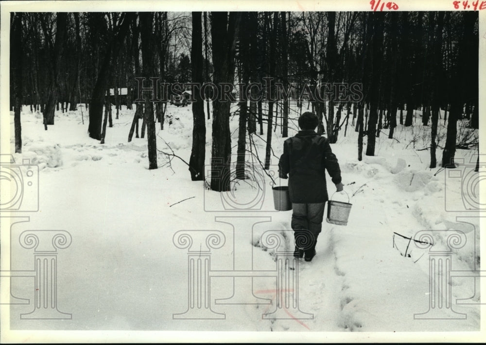 1980 Press Photo Lorraine Groth headed for the wood to collect sap, maple syrup - Historic Images