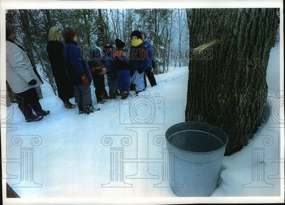 1994 Press Photo Tour group discussing tapping a tree for sap in Wisconsin - Historic Images