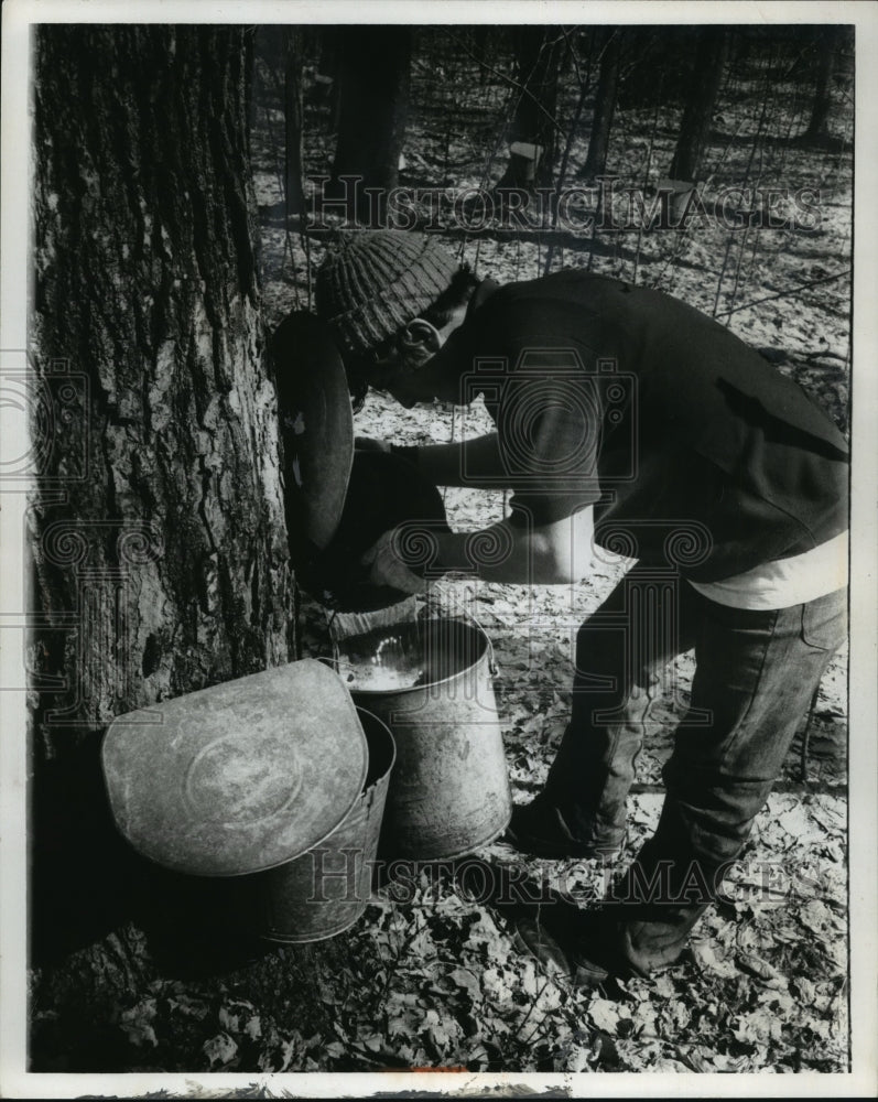 1973 Press Photo Todd Heimke pours sap at Junior Delzer farm near Oconto Falls - Historic Images