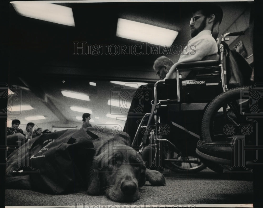 1990 Press Photo Loie, a golden retriever, sits at the feet of Todd Palkowski-Historic Images