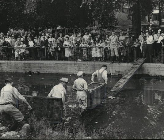1951 Press Photo Washington Park Zoo Keepers Brought the Monkey Cages Back - Historic Images