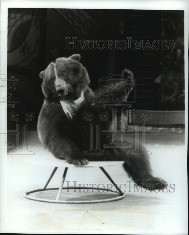 1989 Press Photo Raisa and Grant Ibragimov&#39;s Trained Bear Team In Moscow Circus - Historic Images