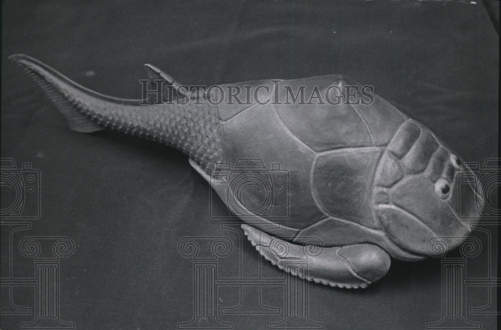 1971 Press Photo Devonian armored fish (Pterichthyodes) model - mja792 ...