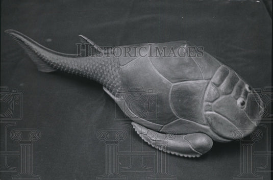1971 Press Photo Devonian armored fish (Pterichthyodes) model - mja79265-Historic Images
