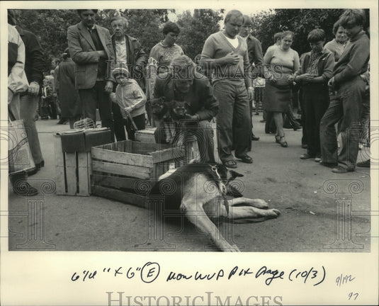 1983 Press Photo Dogs For Sale in Moscow, Russia Park - mja79314 - Historic Images
