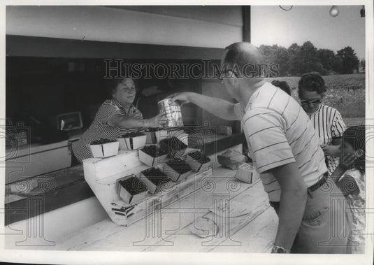 1970 Press Photo Kraft's stand selling cherries along highway 32, Door County-Historic Images