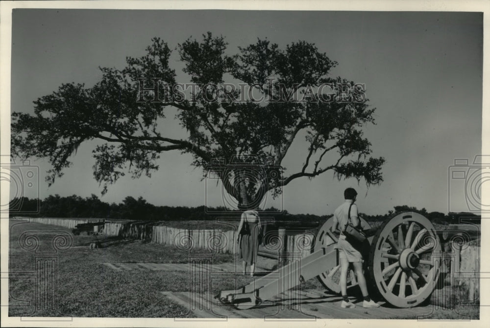 1984 Press Photo Cannons Pointed Towards Chalmette Battlefield, Louisiana - Historic Images