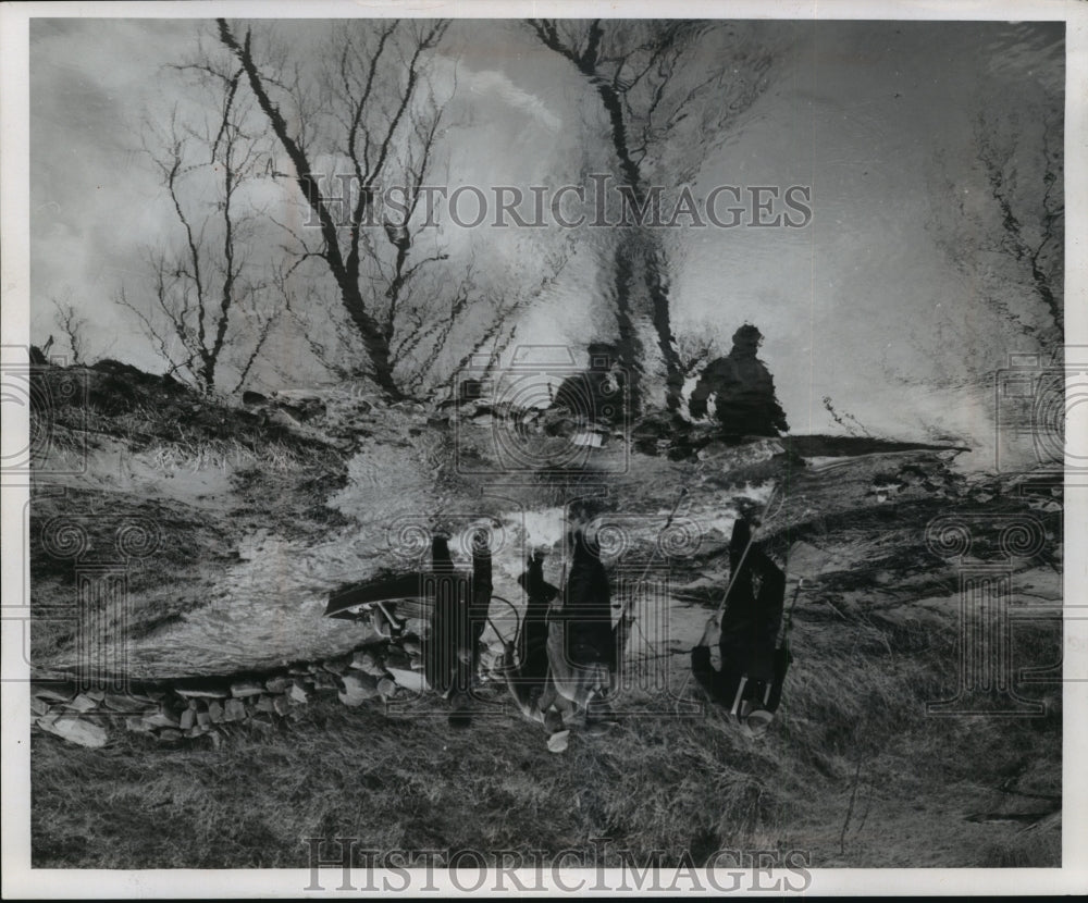 1959 Press Photo Fisheries workers stun fish with electrodes on Bohemian Creek - Historic Images