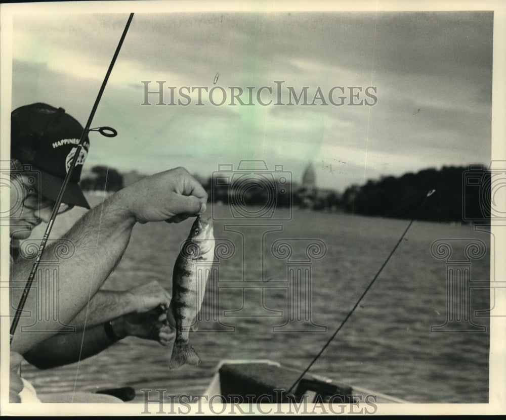1967 Press Photo Wisconsin Lakes-A perch from Lake Mendota - mja85438-Historic Images