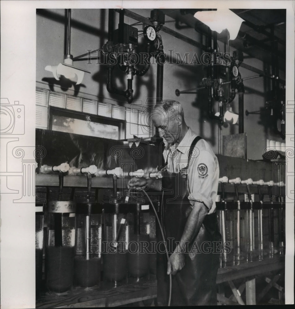 1964 Press Photo Muskie eggs taken from hatching jars at Woodruff by A. Swenson-Historic Images