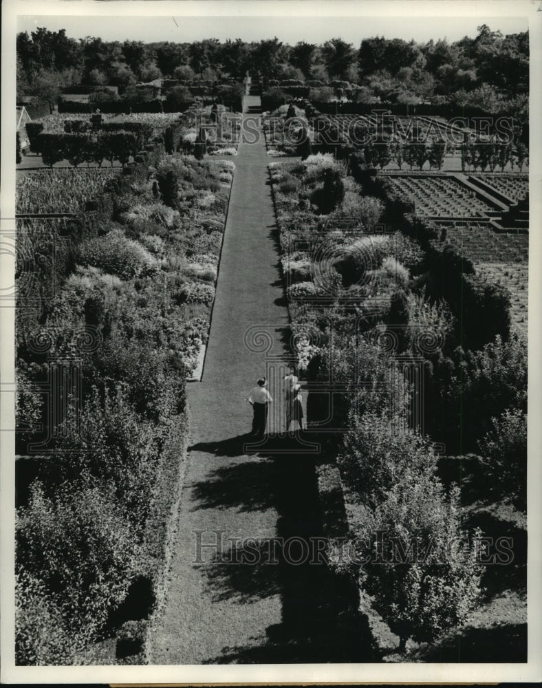 Press Photo 5 Million Bloom Chrysanthemum Show at the University of Chicago - Historic Images