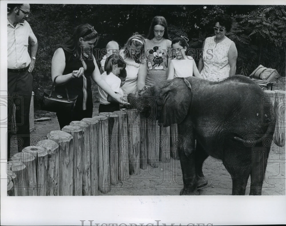 1971 Press Photo new baby elephant at the Milwaukee Zoo - mja86504- Historic Images
