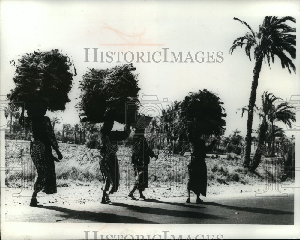 1972 Press Photo Women Balancing Bundles on Heads Near Cairo, Egypt - mja86554-Historic Images