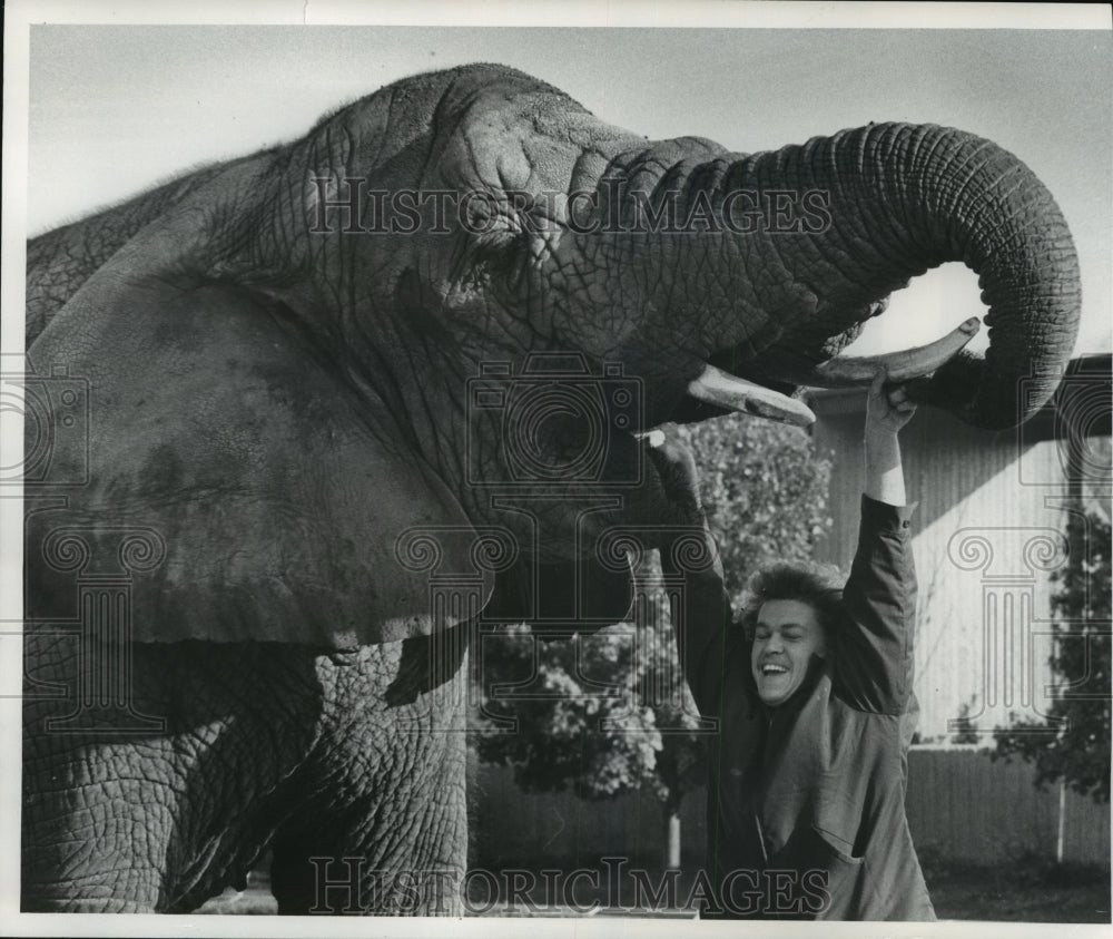 1977 Press Photo A Playful Elephant at the Milwaukee Zoo - mja86750-Historic Images