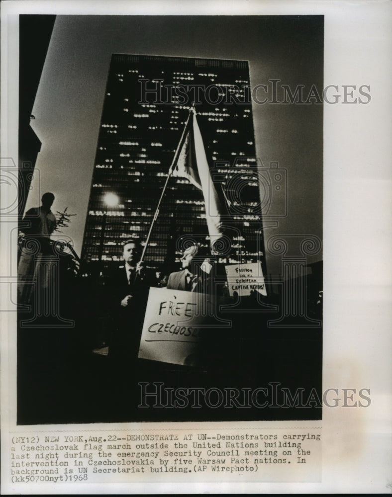 1968 Press Photo Czechoslovak Demonstration at United Nations Security Council - Historic Images