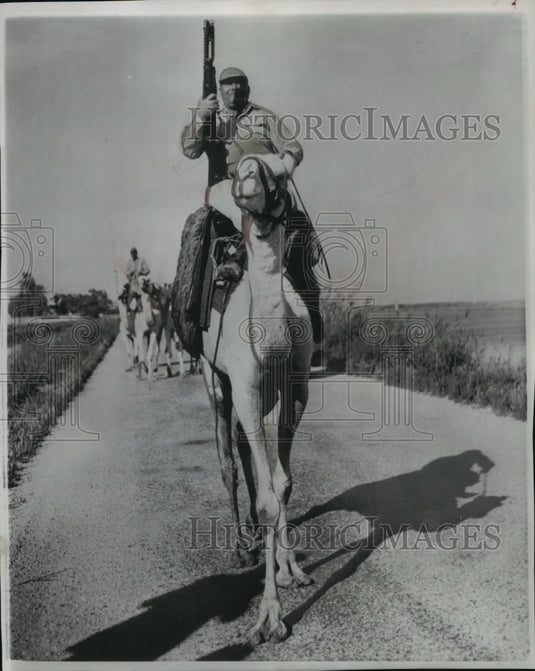 1957 Press Photo Border Patrolman Rides Camel With Automatic Gun Near Suez Canal - Historic Images