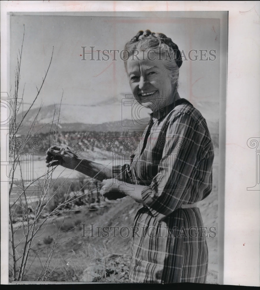 1968 Press Photo Mrs. Hattie Cooper Posing With Sapling - Historic Images