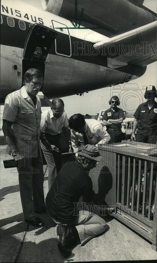 1987 Press Photo at the Milwaukee Zoo, two rare Chinese golden monkeys arrived - Historic Images