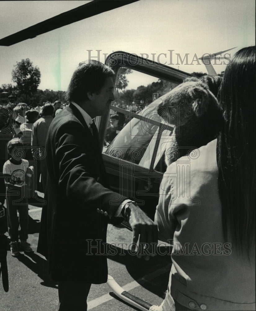 1985 Press Photo Ayers the koala leaves Milwaukee zoo after one month visit - Historic Images