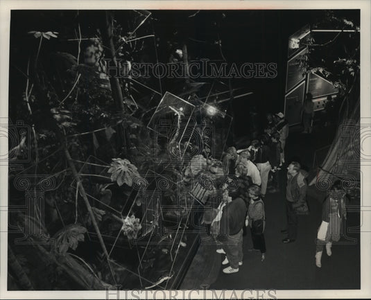 1989 Press Photo Milwaukee Public Museum's Rain Forest Exhibit Attracts Crowd - Historic Images