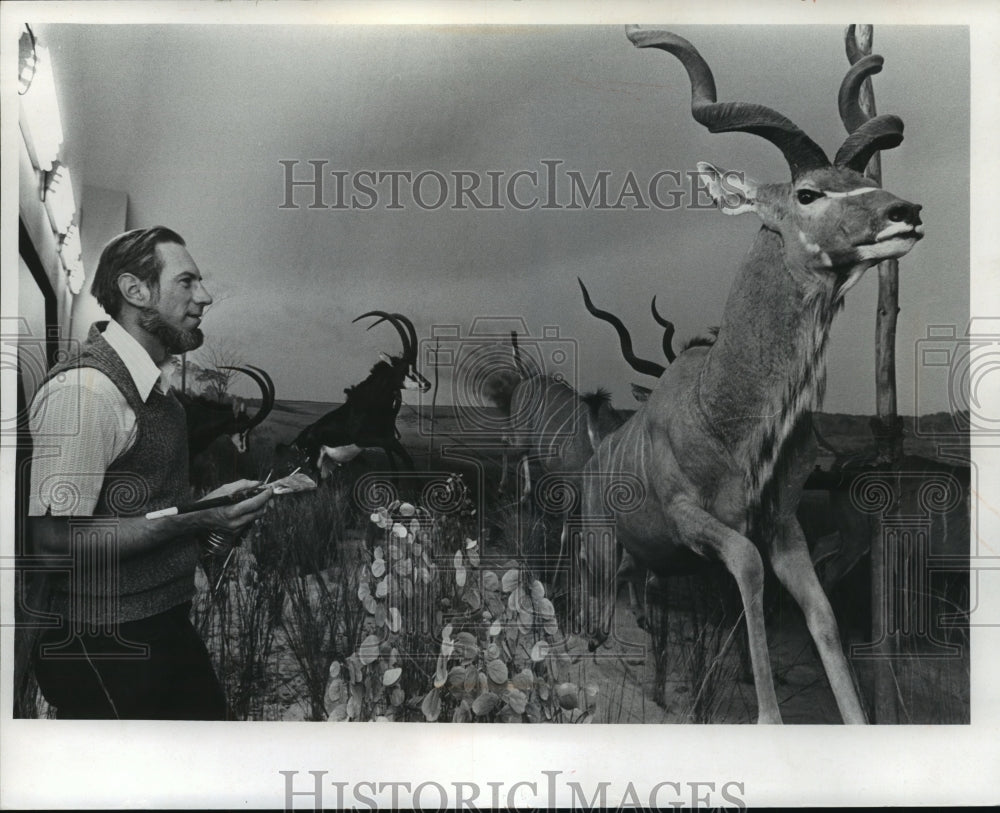 1973 Press Photo Greater Kudu, Sable antelope in Milwaukee Museum Exhibit - Historic Images