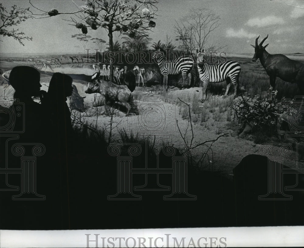 1976 Press Photo Africa Exhibit during Milwaukee Public Museum Family Night - Historic Images