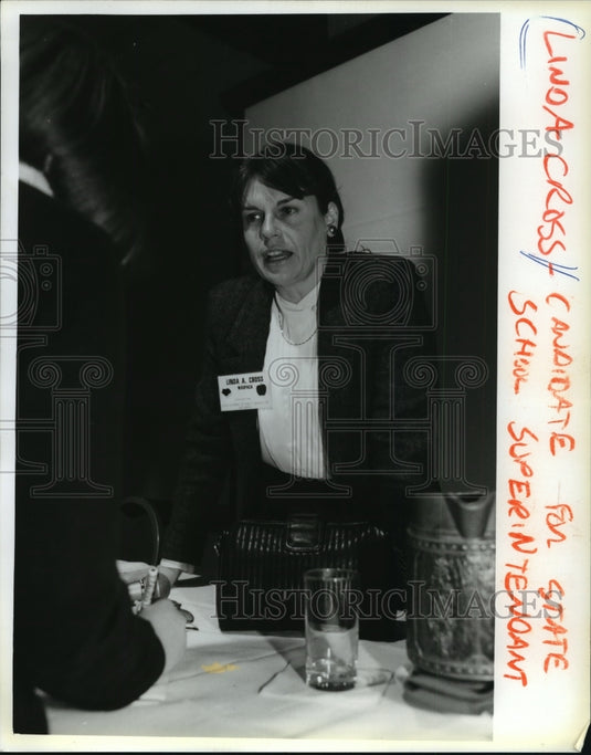 1993 Press Photo a candidate for State School Superintendant, Linda Cross - Historic Images