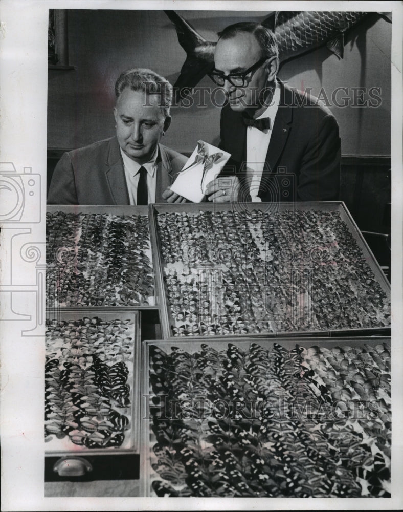 1969 Press Photo Brazilian Butterfly Collection at Milwaukee Museum - mja90323-Historic Images