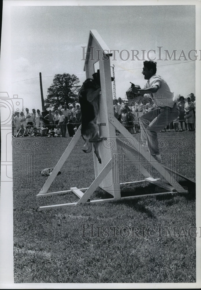 1965 Press Photo Bingo, Guard Dog, at Canine College training school for dogs. - Historic Images