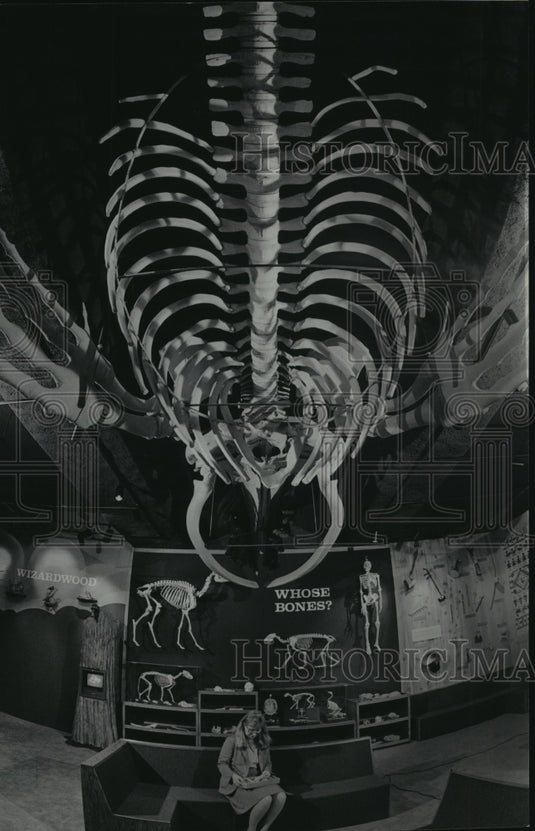 1985 Press Photo Supervisor Cece Lueck sitting under skeleton of humpback whale - Historic Images