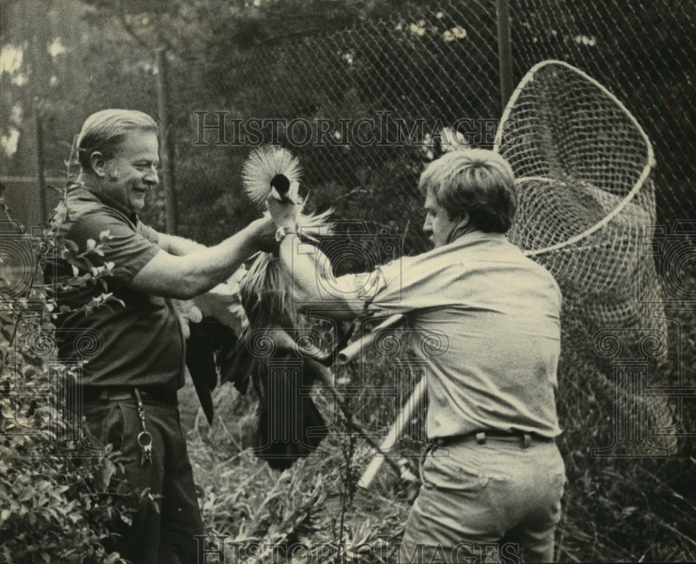 1979 Press Photo Frank Haas and Robert Hoelzer catch crane at the Milwaukee Zoo - Historic Images