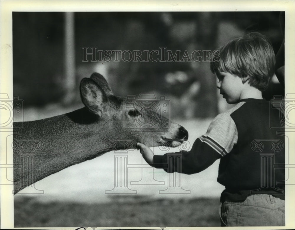 1984 Press Photo 4 year old Bobby Rangus scratches a deer under the chin - Historic Images