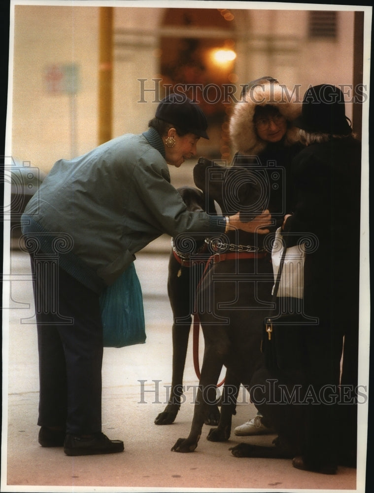 1983 Press Photo Gladys St. George greets two Great Danes Siegfried and Wolfgan - Historic Images