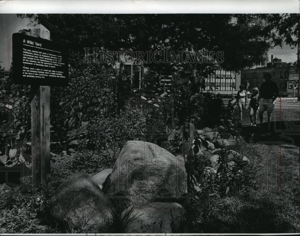 1978 Press Photo Prairie Wildflowers Grow in Yard of Milwaukee Public Museum - Historic Images