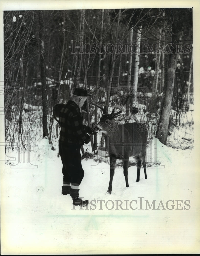 1984 Press Photo Bucky, a whitetail deer buck, takes a handout from Bill Mattson - Historic Images