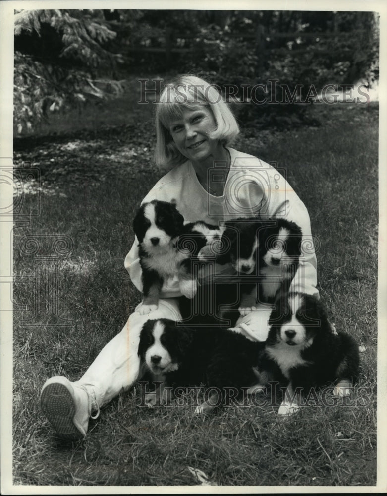 1988 Press Photo Sandy Ongamach&#39;s Bernese puppies are like cuddly teddy bears - Historic Images