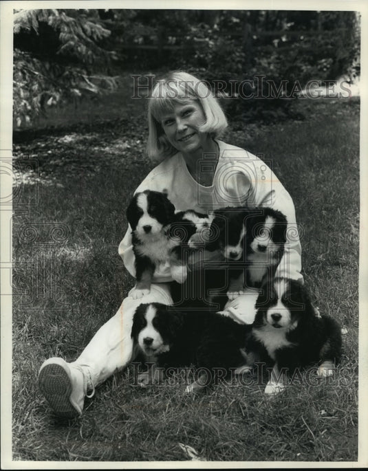 1988 Press Photo Sandy Ongamach's Bernese puppies are like cuddly teddy bears - Historic Images