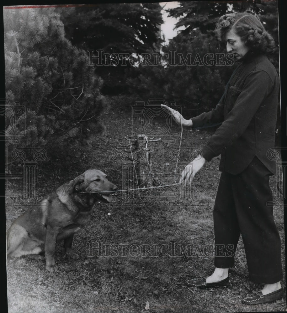 1956 Press Photo A dob being trained to sit. - mja97075-Historic Images