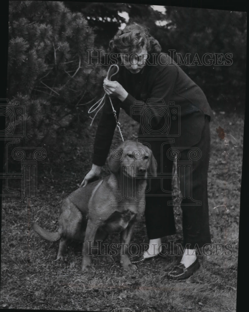 Press Photo A dog trainer demonstrate how to make a dog sit. - mja97081 - Historic Images