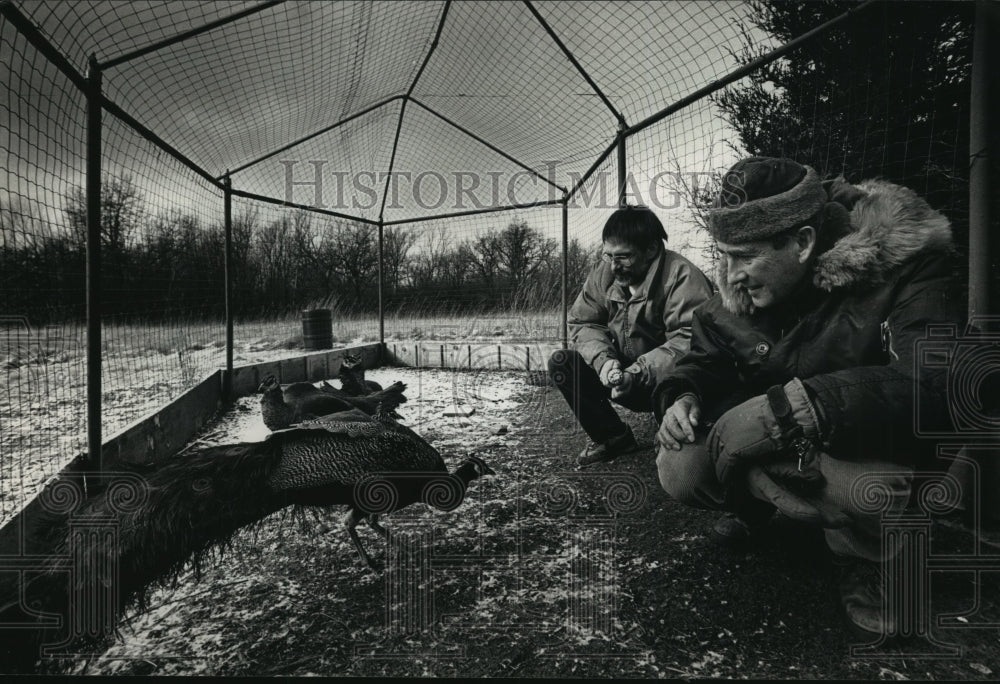 1991 Press Photo Ralph Duke and Son Kirby Admire Peacock together - mja97165 - Historic Images