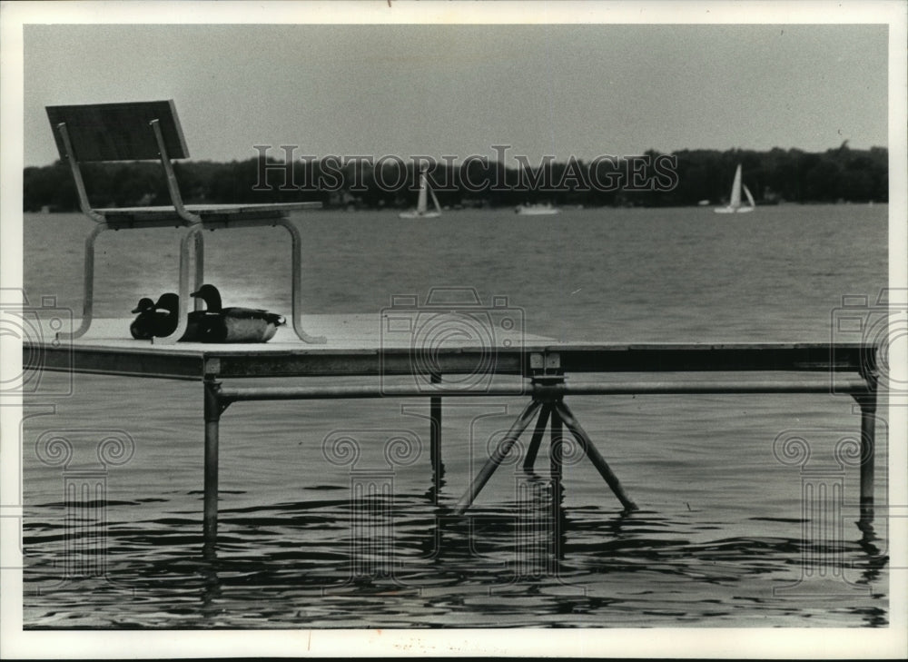 1992 Press Photo Mallard Ducks On Pier On Shore of Lac La Belle in Oconomowoc - Historic Images