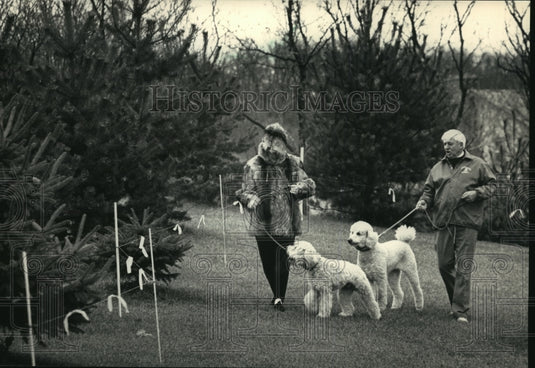 1987 Press Photo Felicia and Duane Dickinson walks the dogs near the new fence. - Historic Images