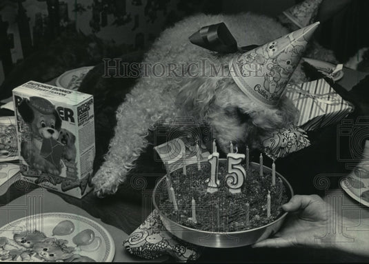 1985 Press Photo Sandra Portz and throws Birthday party to her beloved dog Kim - Historic Images