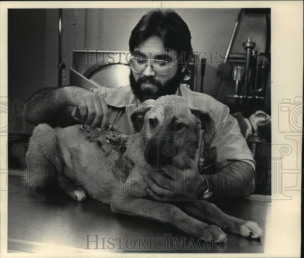 1983 Press Photo Humane Society veterinarian Jack Wagner treats dog burns - Historic Images