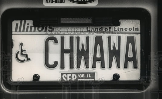 1988 License plate describing the owner's dog preference-Historic Images