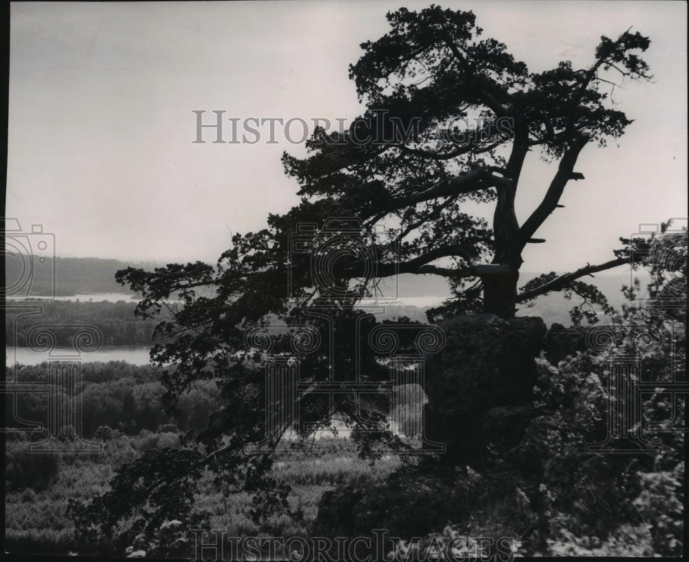 1953 Wis. Views from the Nelsen Dewey State Park near Cassville. - Historic Images