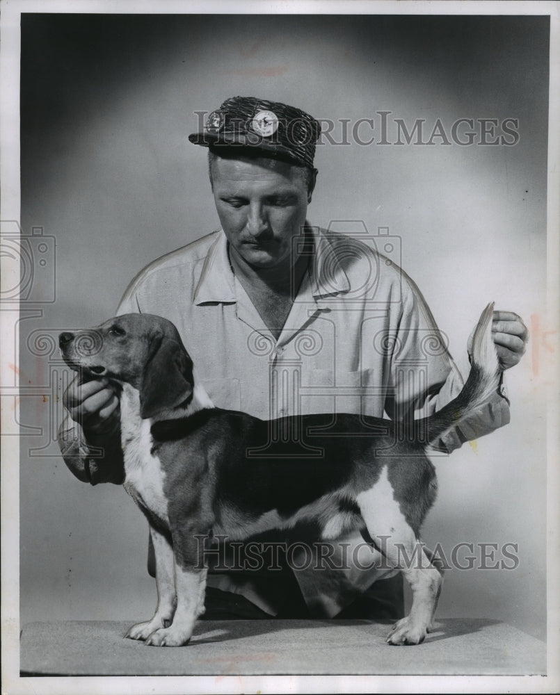 1957 Press Photo Lincoln Hill Ringer is Wisconsin beagle field champion for 1957 - Historic Images