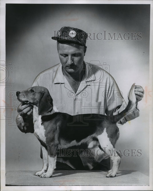 1957 Press Photo Lincoln Hill Ringer is Wisconsin beagle field champion for 1957 - Historic Images